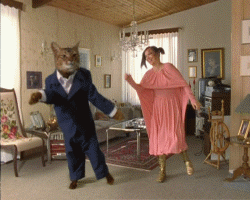 tchotchke-dancing-cat-gif.gif
