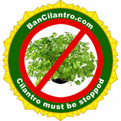 ban_cilantro.jpg