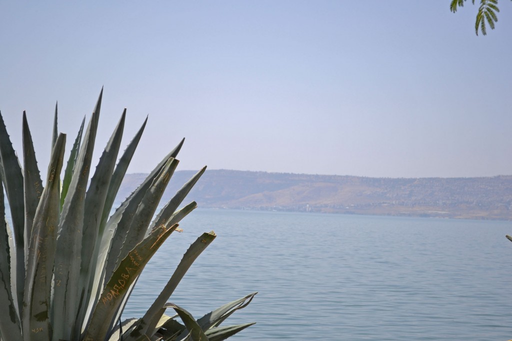 The Sea of Galilee is smaller than I expected it to be.