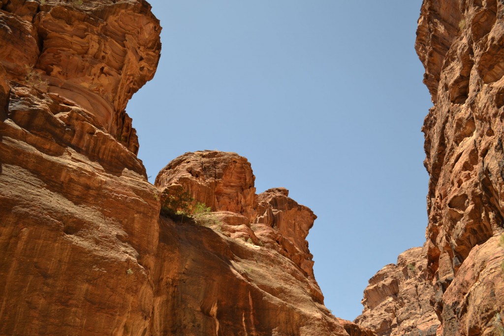 The red rocks of the Siq, the 1.2km long gorge leading down into Petra.