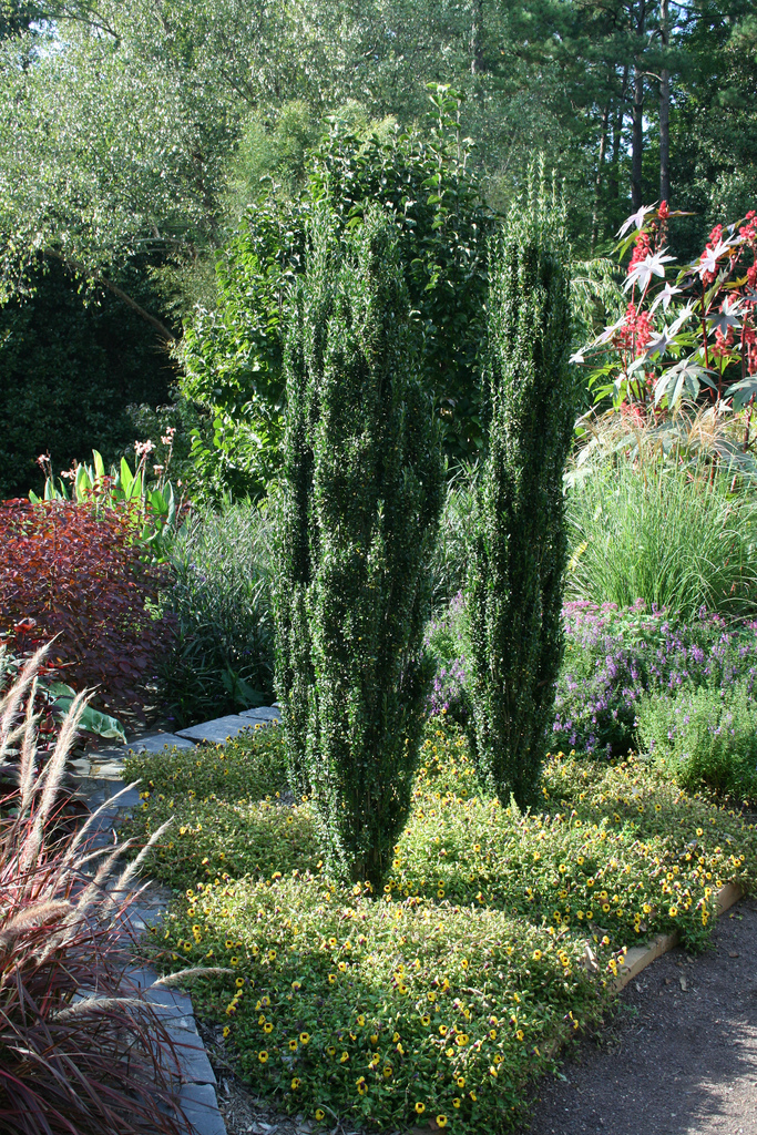 Great Green Colors Galore for Your Garden | Crasstalk